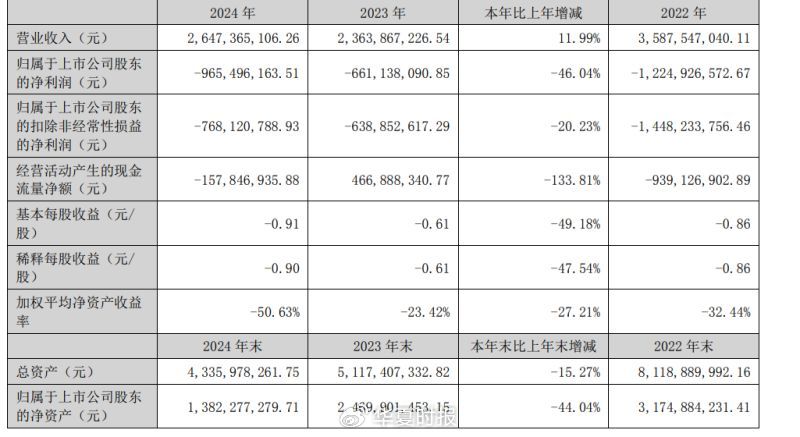 （来源：罗欣药业2024年年报）