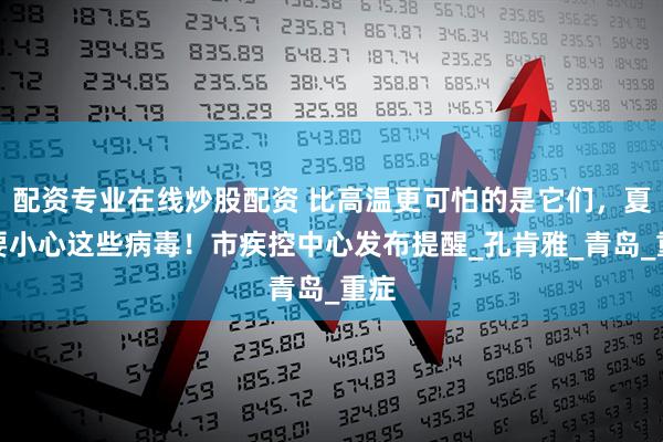 配资专业在线炒股配资 比高温更可怕的是它们，夏季要小心这些病毒！市疾控中心发布提醒_孔肯雅_青岛_重症