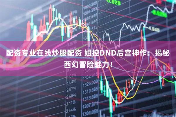 配资专业在线炒股配资 姐控DND后宫神作：揭秘西幻冒险魅力！