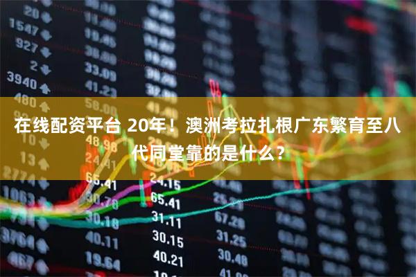 在线配资平台 20年!澳洲考拉扎根广东繁育至八代同堂靠的是什么?